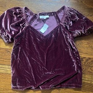 LOFT Deep Burgundy Velvet Blouse